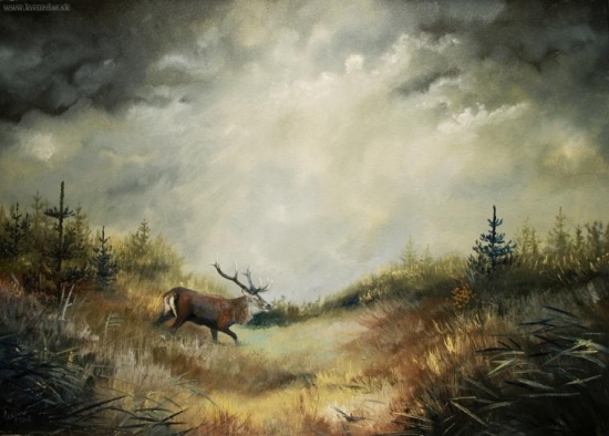 Král - olej na pl. 50x70