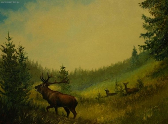 Jen si tak pobrukuju...