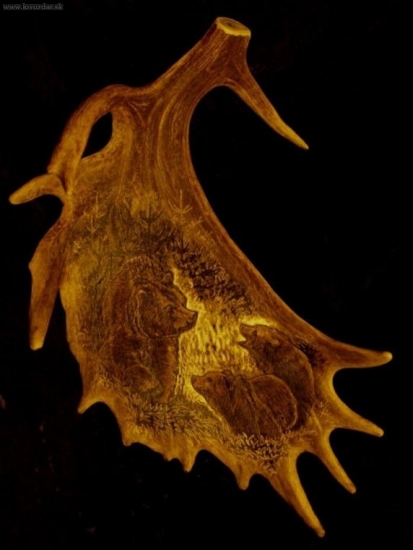 Mama, ako to bolo s diviakmi?