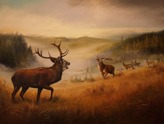 Tak co bude? Olej na pl.90x120