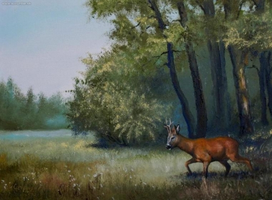 Srn - olej na pl.30x40