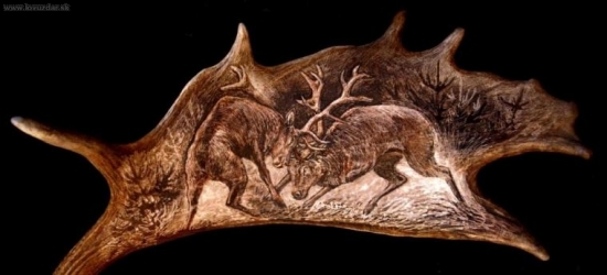 Jen jeden bude vládnout