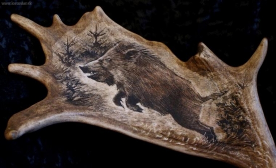 Divočáček v běhu