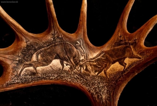 Mela na losí lopatě