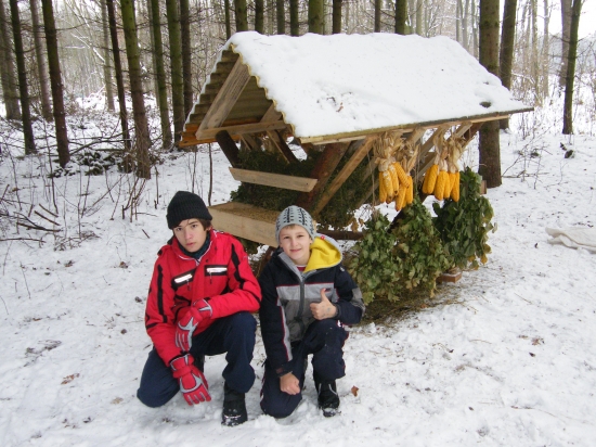 Dnešní přikrmování