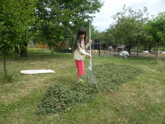 Ještě jedna jak nejmladší Poštolka sušila seno...