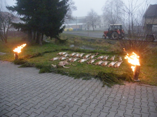 Výřad na včerejším honě