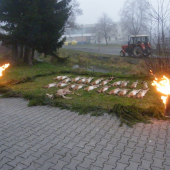 Výřad na včerejším honě