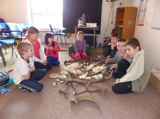 Poštolky poznávají trofeje a shozy zvěře