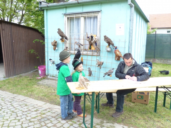 Poznávačka vycpanin ptáků na soutěži