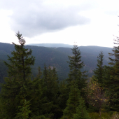 Jesenická příroda