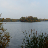 Chomoutovské jezero z druhé strany