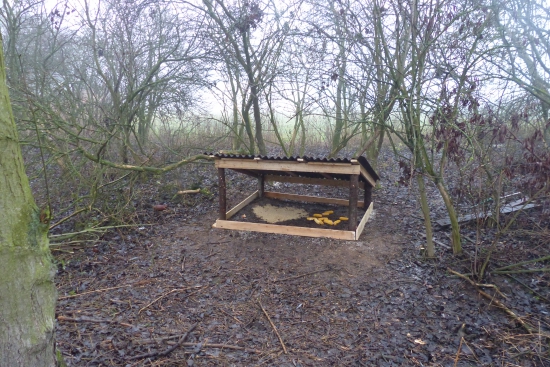 První zásyp Poštolek pro bažanty