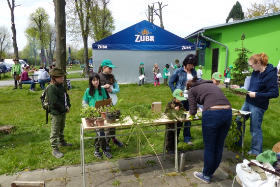 Stanoviště bylin, listů a větviček stromů