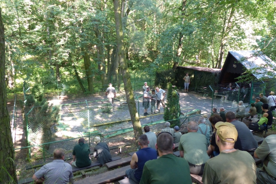 Zkoušky v bezkontaktním norování - areál MS Drahanovice