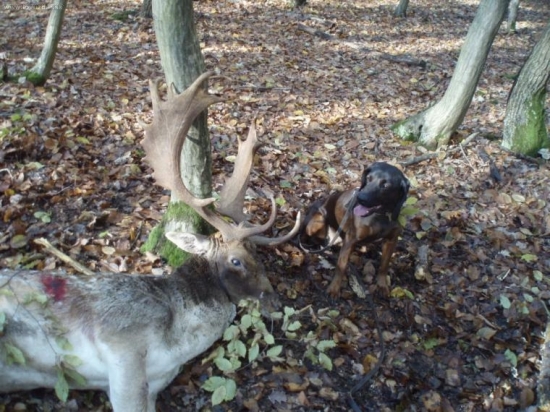 BONA Liptal po uspesnej dohladavke