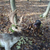 BONA Liptal po uspesnej dohladavke