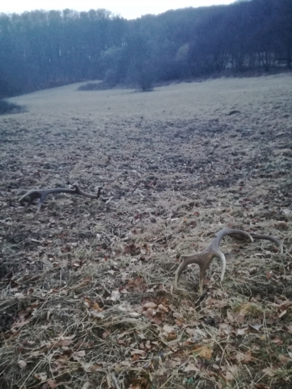 Štastena si sadla aj na mňa