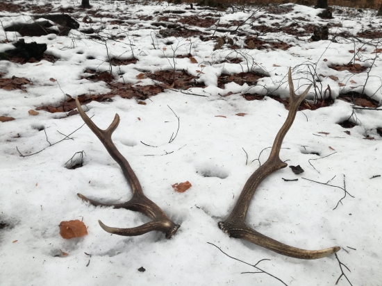 Aj v decembri sa darí