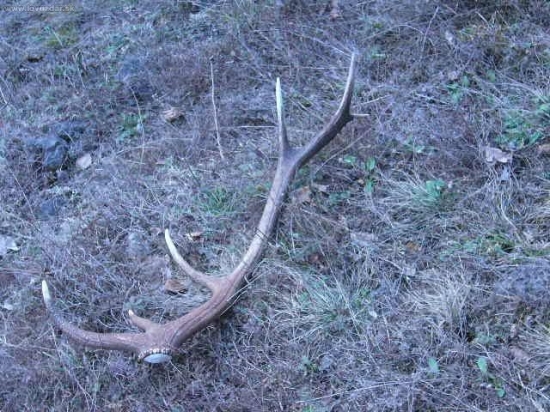 tie prejdene km sa oplatili :)