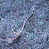 tie prejdene km sa oplatili :)