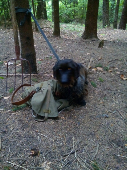 malá pomocníčka pri čistení krmelca