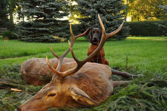Cita a jej prvá uspešná dohladávka