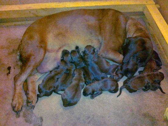 Je nás celá kopa...