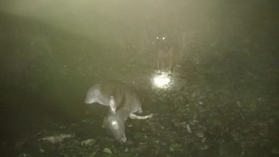 Astina 12 úspešná v sezone 2014