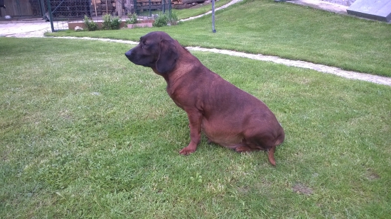 Aste sa to už kráti...