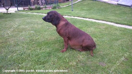 Aste sa to už kráti...