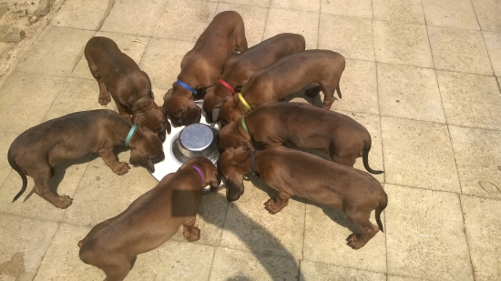 Posledný spoločný obed a ide sa  do sveta