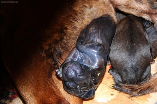 Začiatok noveho života...