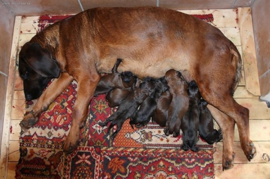 Už su tu,7 chalanov a 2 baby.