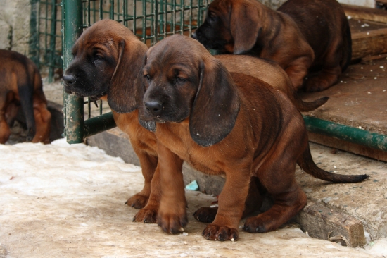 Spokojnosť-po obede