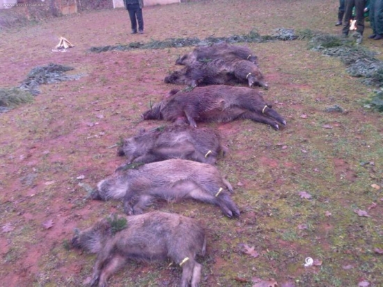 škl Cemjata r. 2008