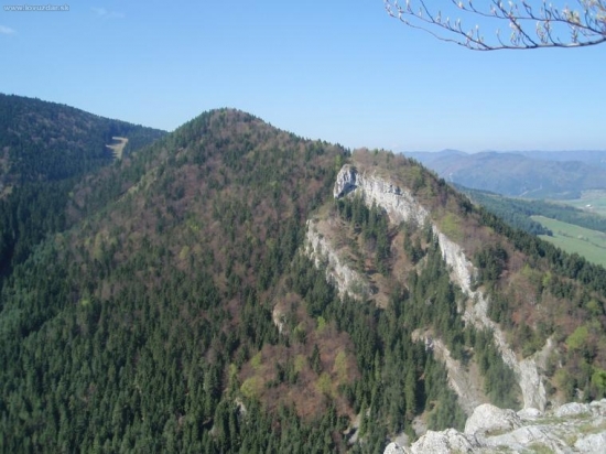 Goleštan