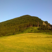 Večerná prechádzka :))