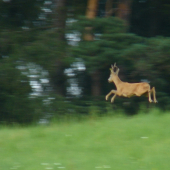 ...keď technika nestačí...