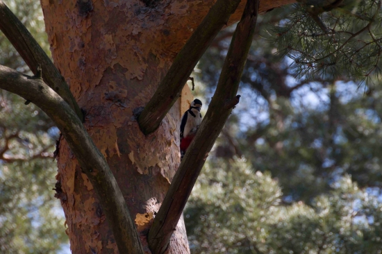 Ordinácia v zelenej záhrade