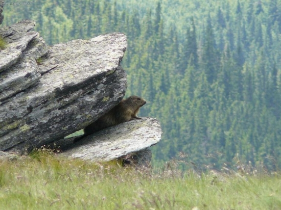 Dnes mi ale naložili