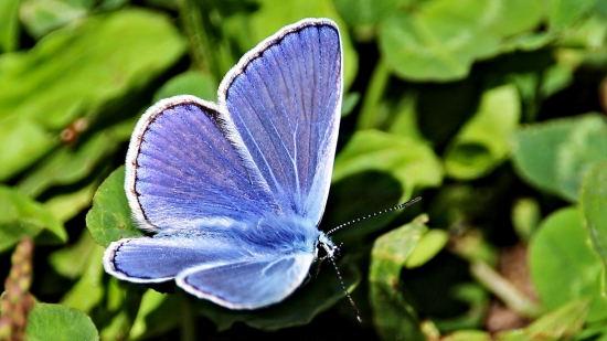 Krásne farby prírody