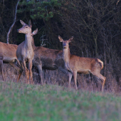 Baby ved uz to aj hreje