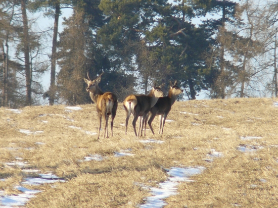 Vysoká na slnku