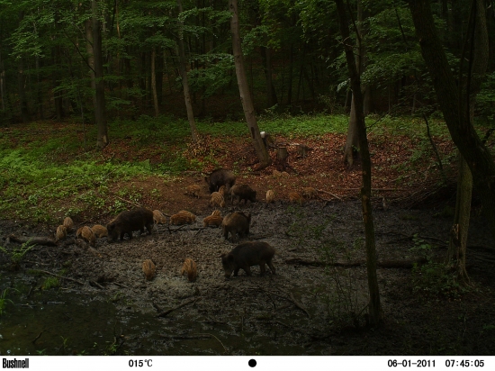 Úžasný pohľad ....