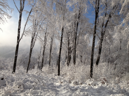 Nedelna prechadzka po reviry.