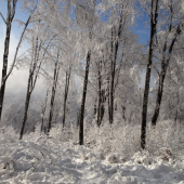 Nedelna prechadzka po reviry.
