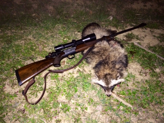 Môj prvý.... Lovu dik.