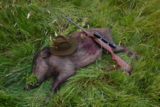 lanštiak