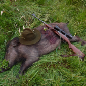 lanštiak